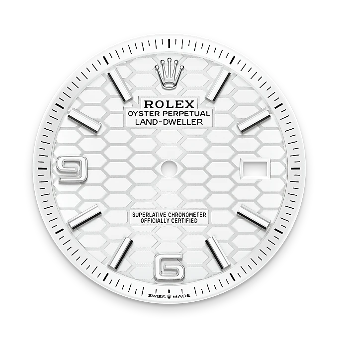 Rolex land-dweller em Oyster, 40 mm, aço Oystersteel e ouro branco m127334-0001 em Marcolino