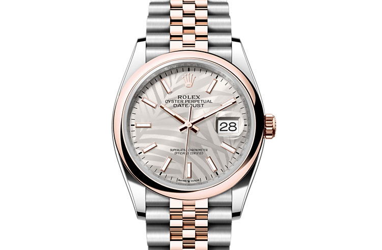 Rolex datejust em Oyster, 36 mm, aço Oystersteel e ouro Everose m126201-0031 em Marcolino