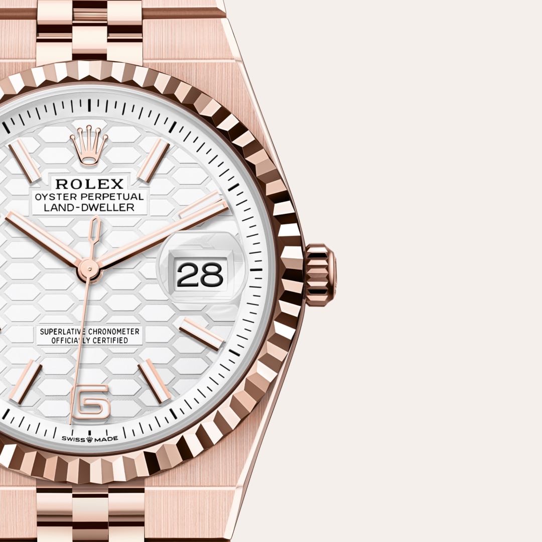 Rolex Land-Dweller 36 - detalhe 127235