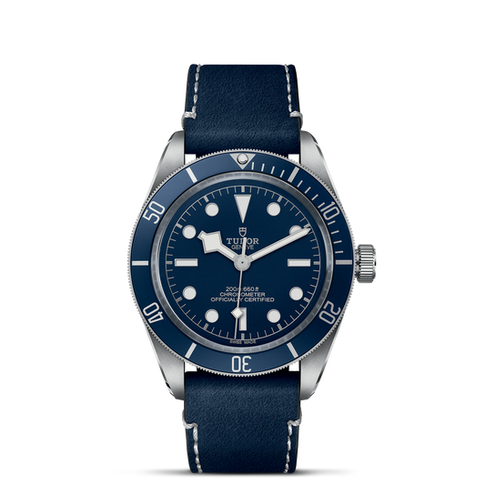 Tudor Black Bay 58 79030B/CALF.AI