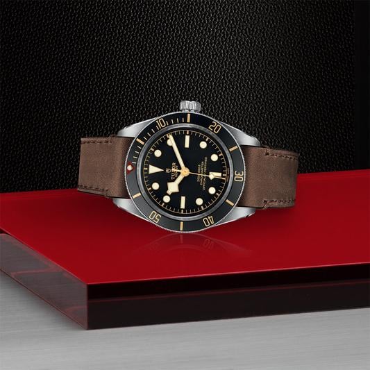 TUDOR Black Bay 58 79030N/CALFBRW.PI