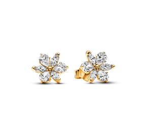 Herbarium cluster 14k gold-plated stud Brincos with clear cu