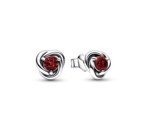January Birthstone Eternity Circle Stud Earrings