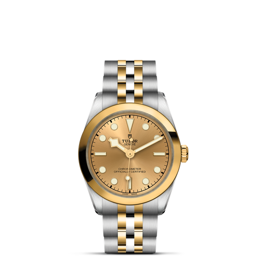 Tudor Black Bay 31 S&G M79603-0005