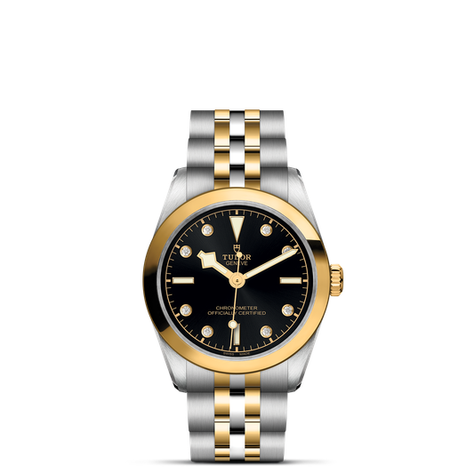 Tudor Black Bay 31 S&G M79603-0006