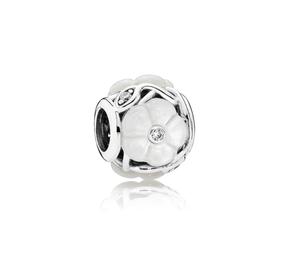 CNT AG C/ZIRC+MADREP FLR 2,1g
